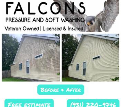 Falcons Pressure and Soft Washing - Clarksville, TN