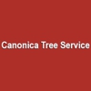 Canonica Tree Service gallery