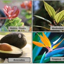 Kulamanu Farm - Farms
