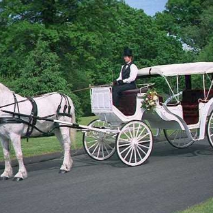 Horse & Carriage Livery of Loon Meadow Farm - Greenfield Center, NY