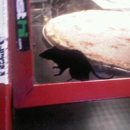 Benny Blancos Pizza