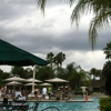 Saddlebrook Resort And Spa gallery