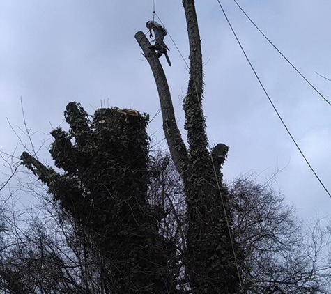 Fowler Landscape & Tree Service - Oak Ridge, TN