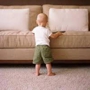 Beverly Hills Carpet Care IN Porter Ranch
