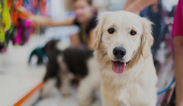 Mylonas & O'Callaghan Vet Hospital - Blacktown, NSW