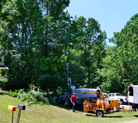 Rocky's Tree Service - Gastonia, NC. Rocky's Tree Service Crew