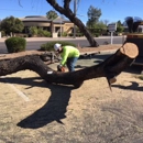 Techer's Tree Service - Tree Service