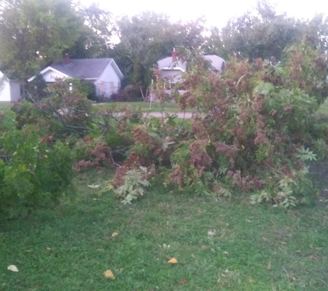 Prescott Tree Service - Flint, MI