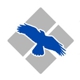 Blue Raven, Inc.