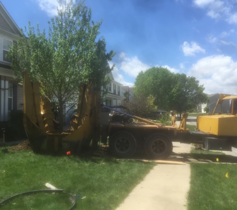 Tree Movers Inc - Indianapolis, IN