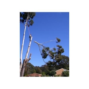 Gallery Image Number 1