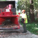 A-1 Professional Tree Service - Tree Service