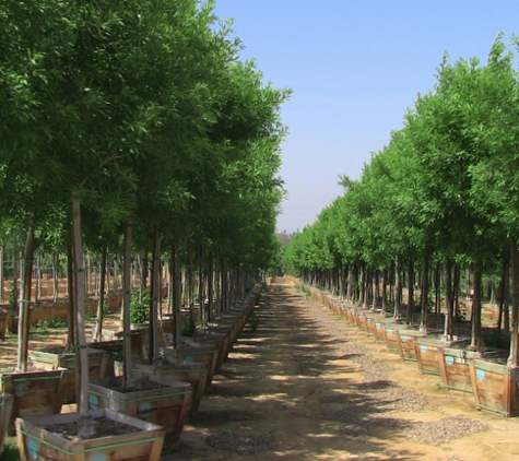 Moon Valley Nurseries - Phoenix, AZ