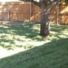 Green key Lawn Care gallery