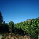 Cowhorn Vineyard & Garden - Wineries