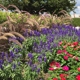 Spring Gardens Landscaping & Horticultural Services, Inc.