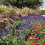 Spring Gardens Landscaping & Horticultural Services, Inc.