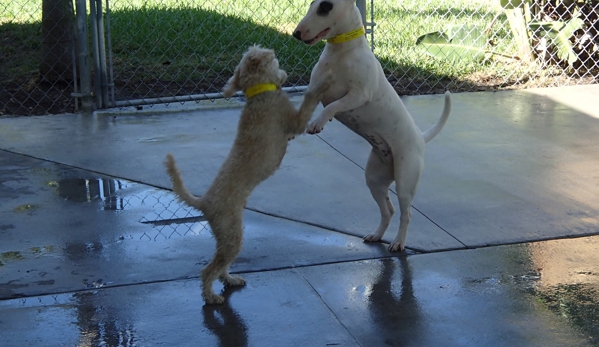 Tails-A-Waggin Animal Hospital - Fort Myers, FL