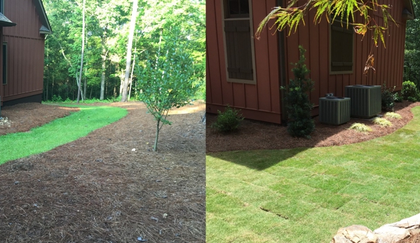 Premier Turf and Landscapes - Newnan, GA