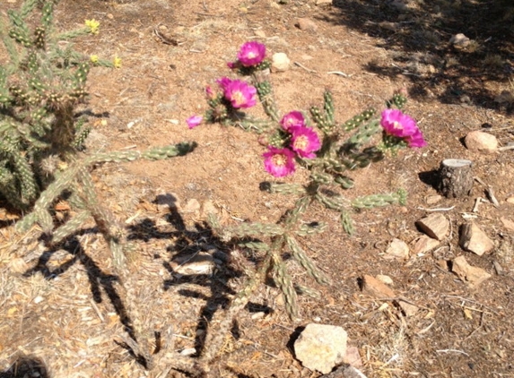 Rancheros De Santa Fe Camping Ground - Santa Fe, NM