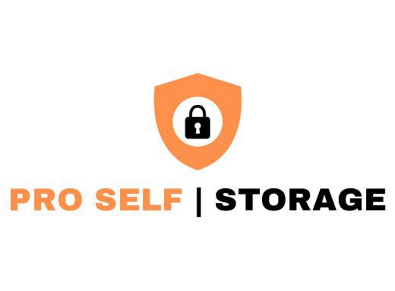 Pro Self Storage - Wilmette, IL