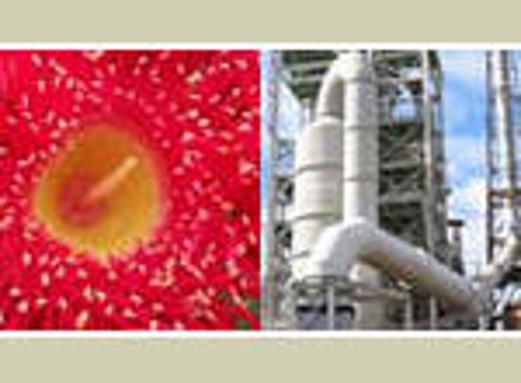 Umwelt (Australia) Pty Ltd - Subiaco, WA