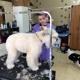 Lil Bit O'Grooming Pet Salon