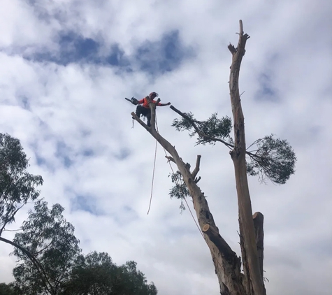 Harringtons Tree Services - Mount Evelyn, VIC