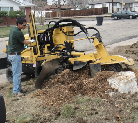 J & J Tree Care - Denver, CO