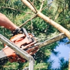 United Tree Services gallery