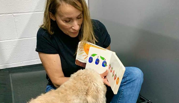 Room For Paws Pet Resort - Stamford, CT