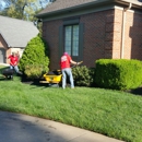 Quality Lawn Care - Lawn Maintenance