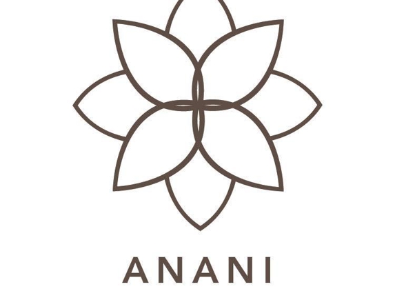 Anani Salon & Spa - Ankeny, IA