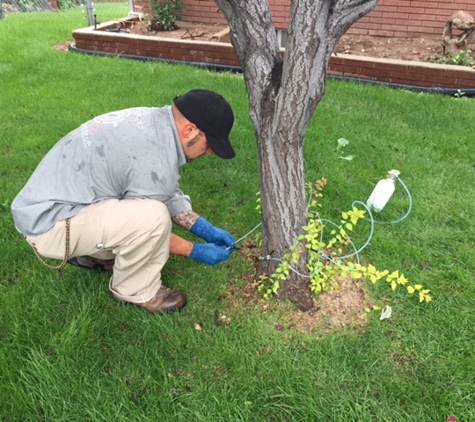 Legacy Pest Control - Salt Lake City, UT