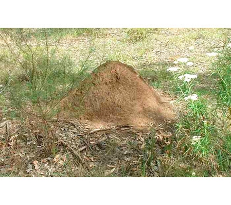 Armageddon Pest Control - Kambah, ACT