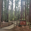 Redwood Grove Nature Preserve gallery