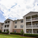 Shorewood Cove Apartments - Apartments