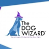 The Dog Wizard DC gallery