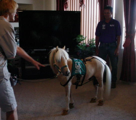 Cherry's Assisted Living Home - Tucson, AZ. July 2018  Visiting pony