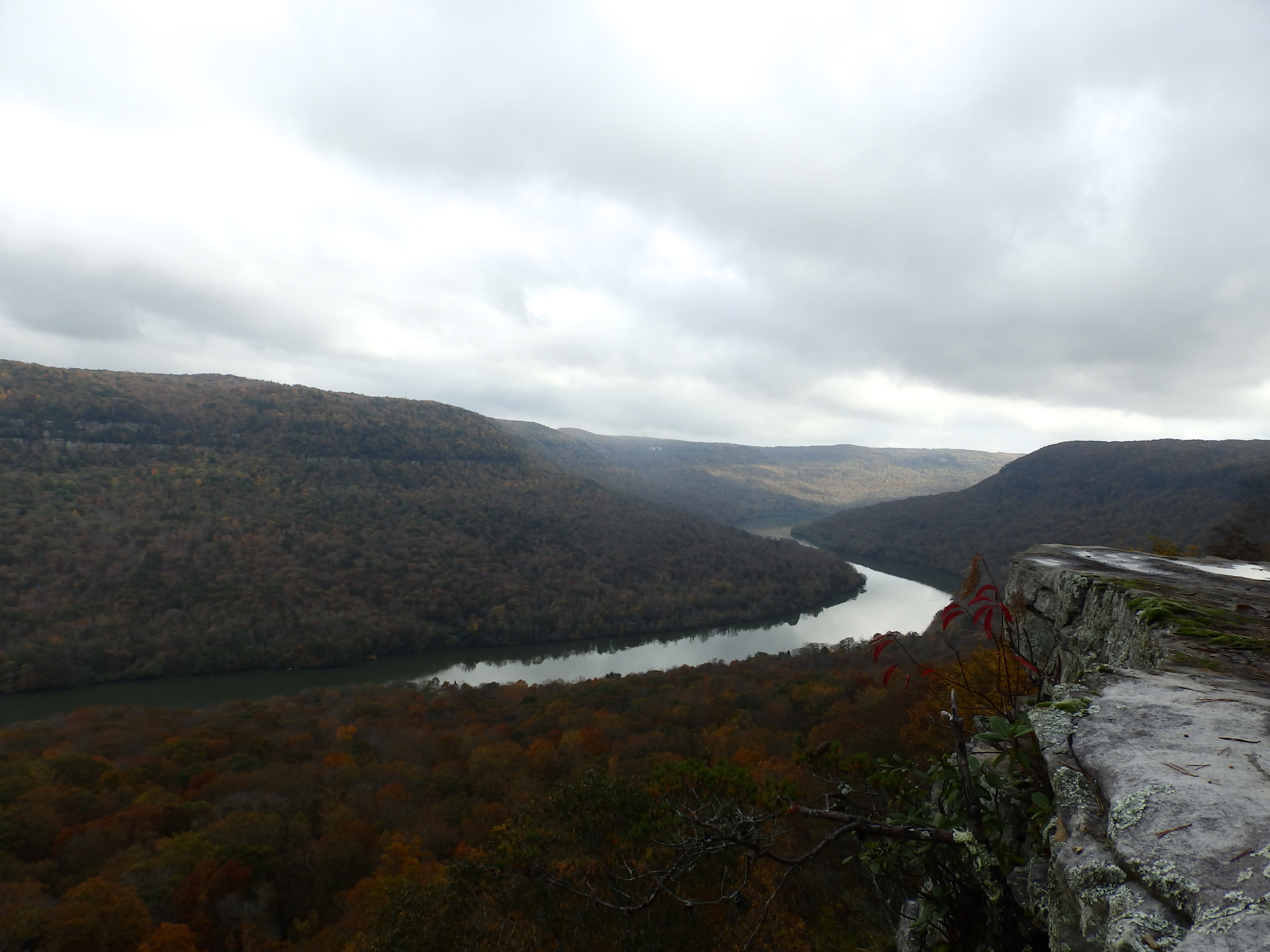 Tennessee River Gorge Island Cabin, Canoe, Kayak &amp; Boat 