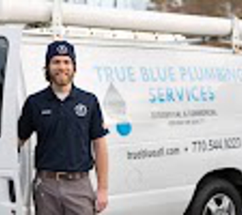 True Blue Plumbing Services - Snellville, GA