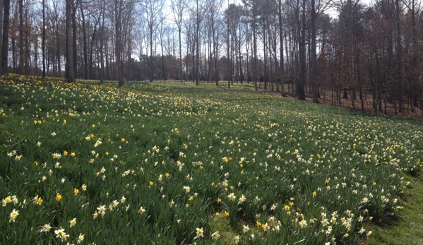 Gibbs Gardens - Ball Ground, GA