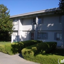 Poplar Plaza Apartments - Apartments