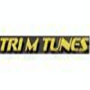 Tri M Tunes & Glass - Automobile Radios & Stereo Systems