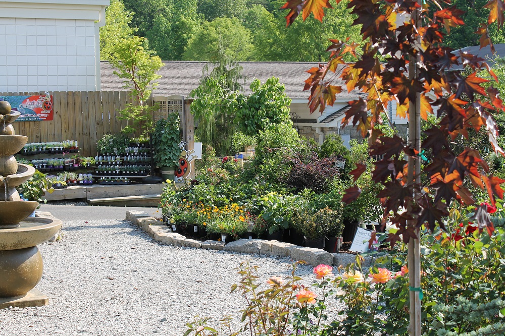 New Garden Landscaping Nursery Inc 3811 Lawndale Dr Greensboro