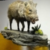 T-Basix Taxidermy & Rugmaking gallery