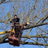 Sunburst Tree Experts Inc. gallery
