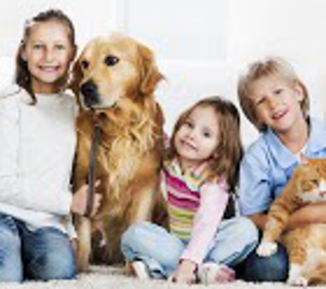 Aqualux Carpet Cleaning - Dallas, TX. We love our kids & pets