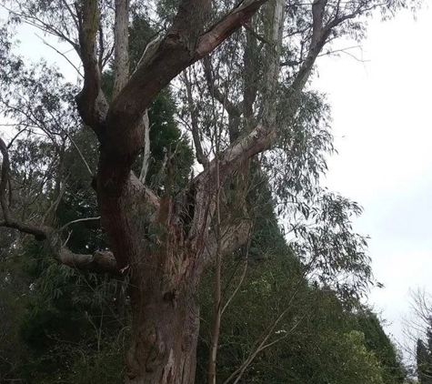 Above All Arbor - Colo Vale, NSW