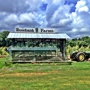 Rosebank Farms